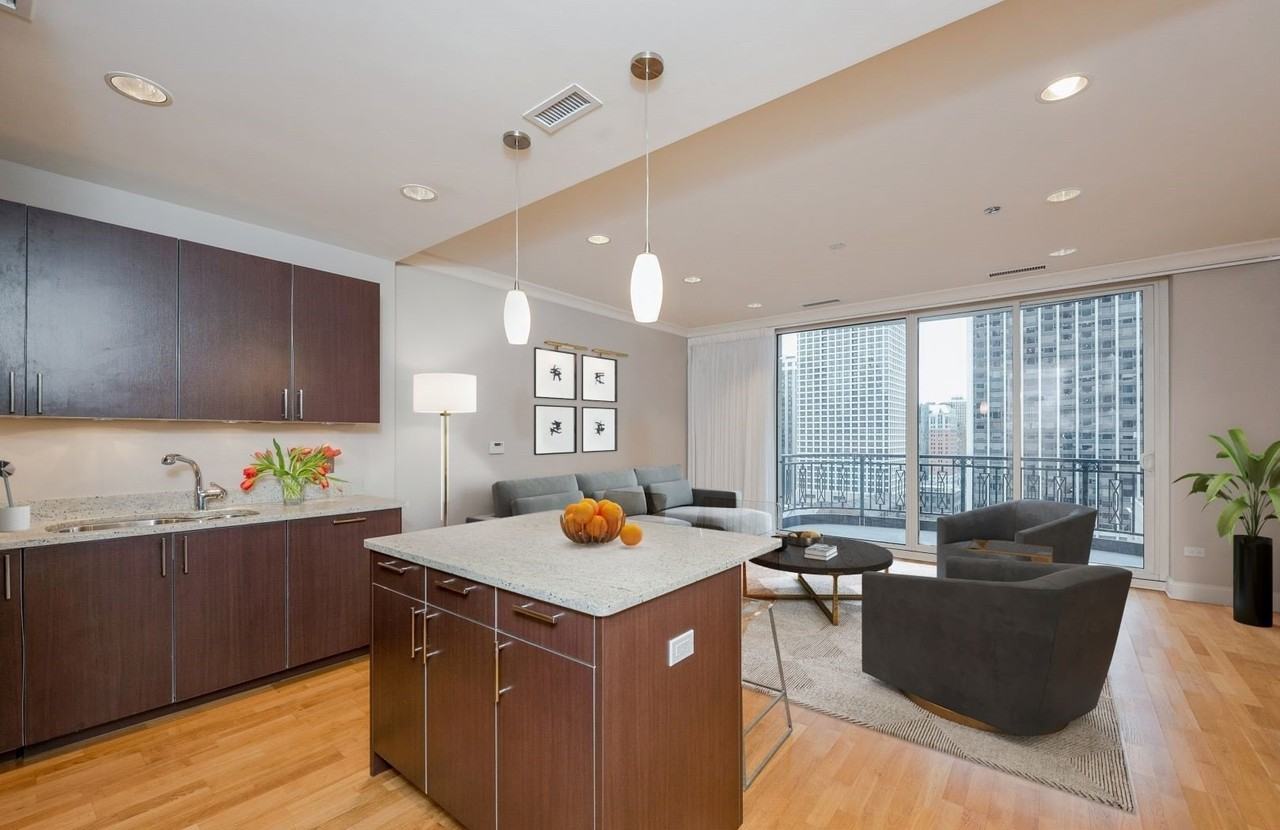 10 E Delaware Pl #14A - Photo 6 of 24