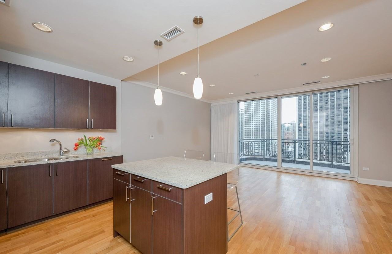10 E Delaware Pl #14A - Photo 7 of 24