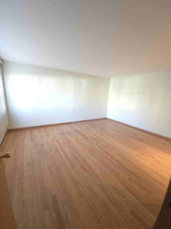 3707 Clarence Avenue unit: Garden - Photo 3 of 12