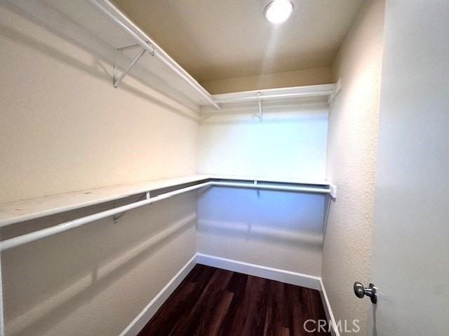 7 Calle Ranchera - Photo 6 of 16