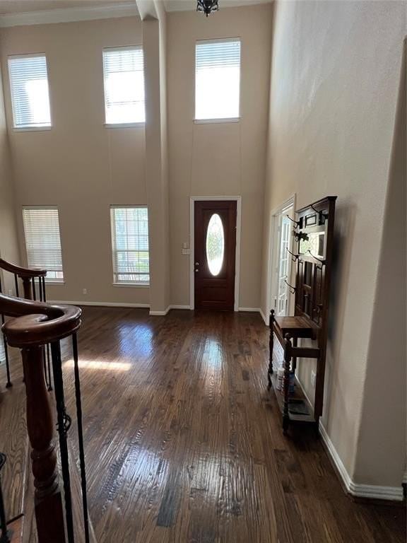 1803 E Branch Hollow Dr - Photo 3 of 31