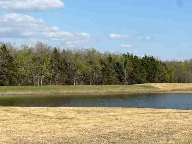 1117 Loblolly Ln - Photo 4 of 31