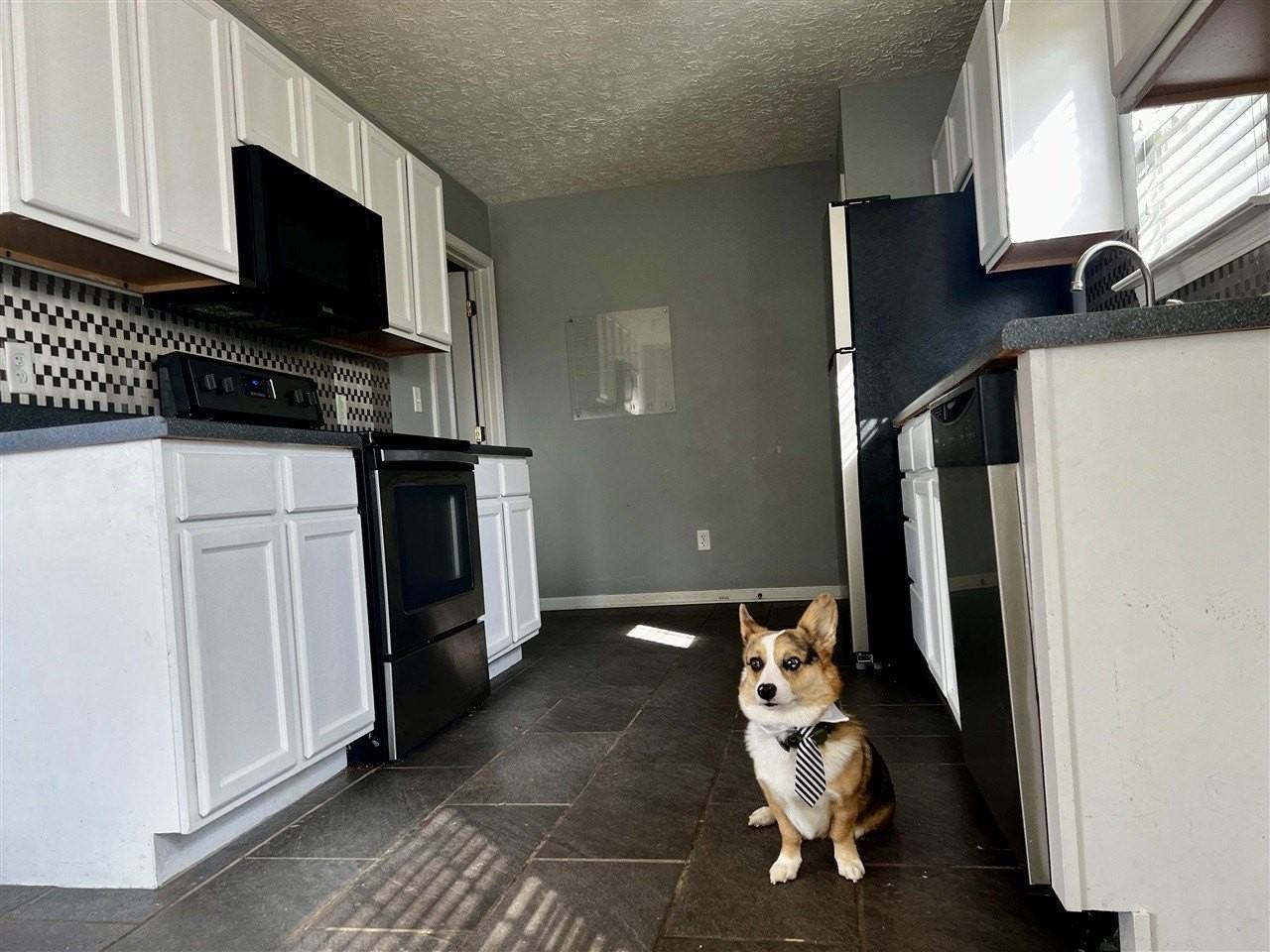 342 Turkey Run Dr - Photo 3 of 21