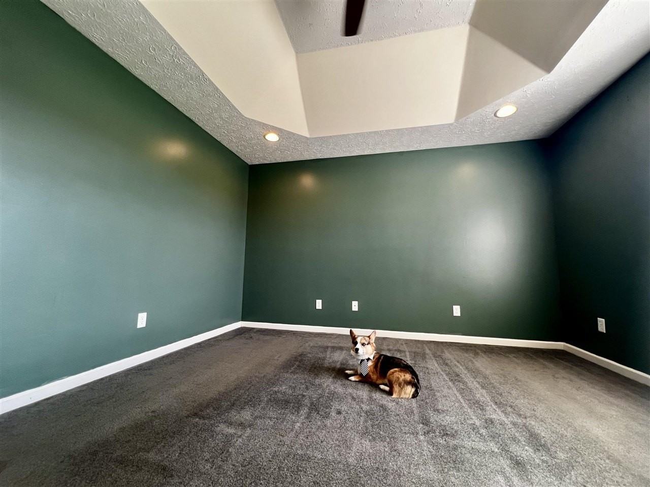 342 Turkey Run Dr - Photo 7 of 21