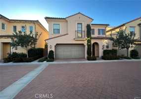 featured image of 146 Stallion