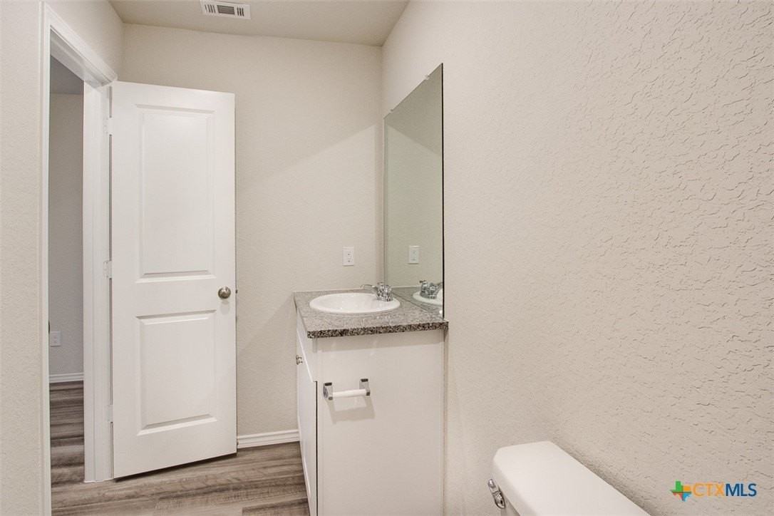 1915 Chiffchaff - Photo 7 of 30