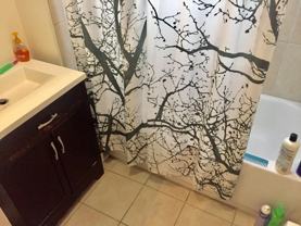 64 Dartmouth St #1 - Photo 1 of 1