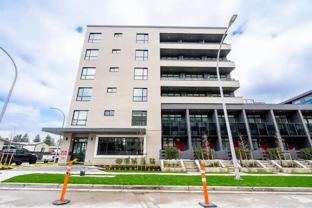 15777 85 Ave Null #204 - Photo 1 of 1