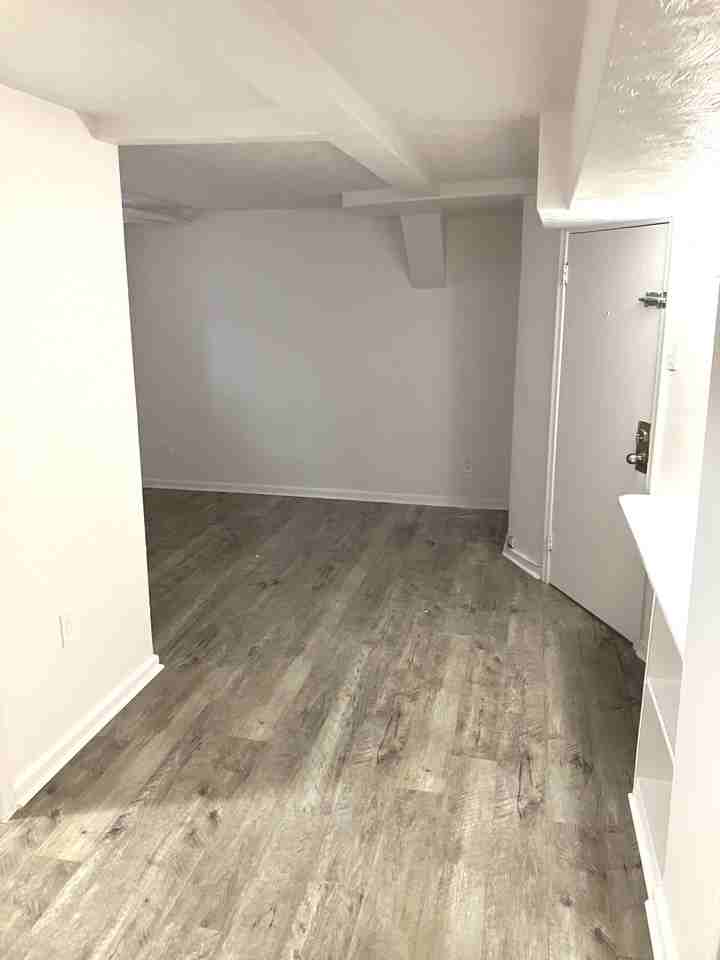 257 Daly Avenue #C - Photo 4 of 17