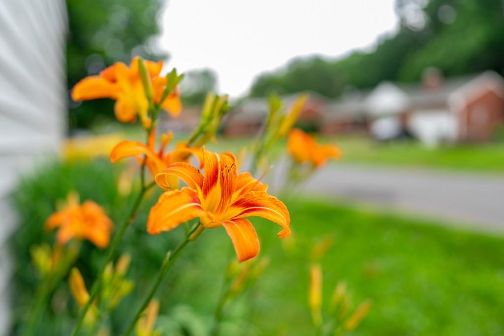 2521 3rd St Ne - Photo 3 of 16