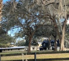 18585 Nw 43rd Court Rd - Photo 1 of 1