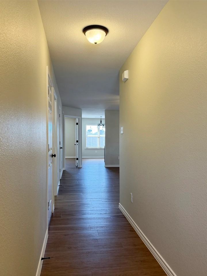 5203 Graceland Dr #B - Photo 4 of 17