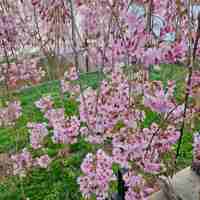 featured image of 8 Broad St #B