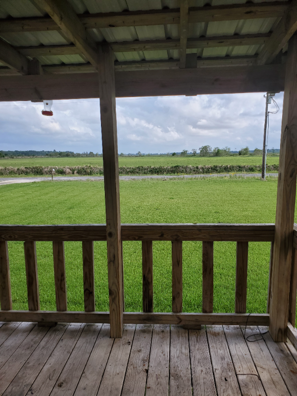 857 Briscoe Rd - Photo 2 of 19