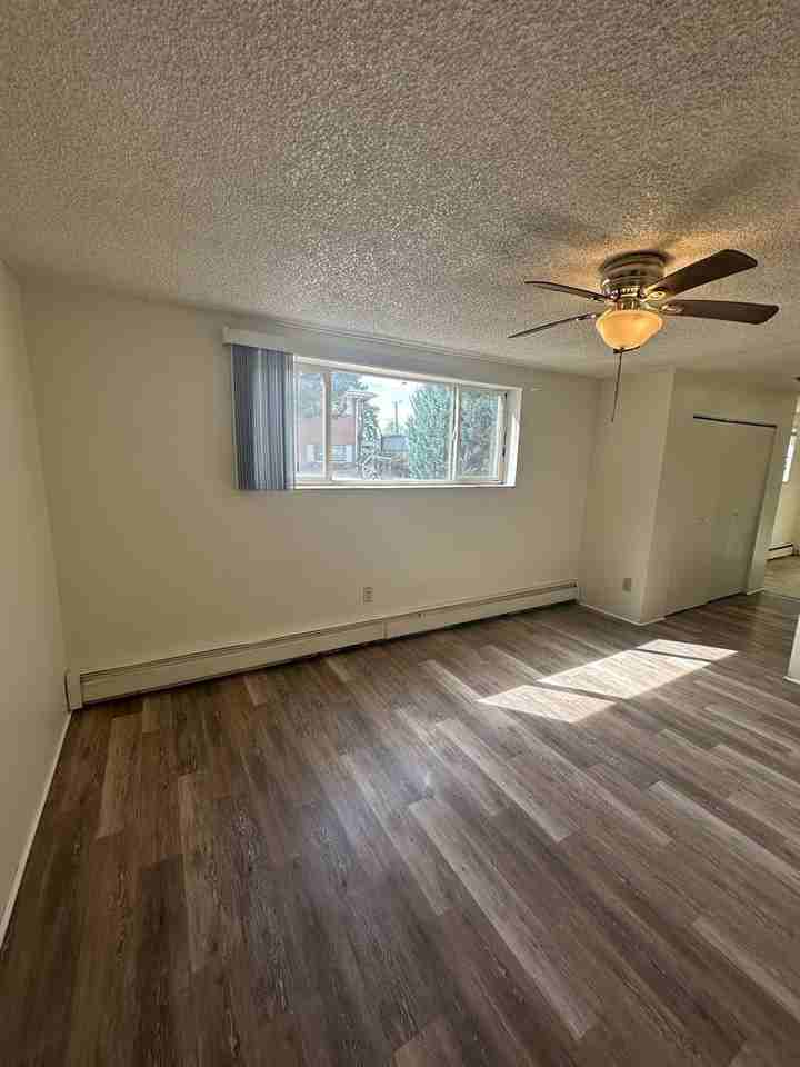 BR2215 - Photo 4 of 20