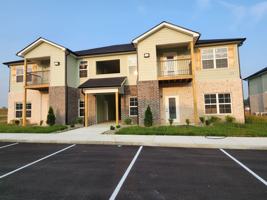 featured image of 203 Palmer Ct