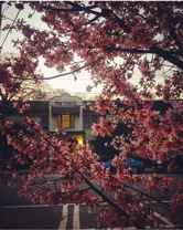 Walt & Earle - Photo 1 of 1