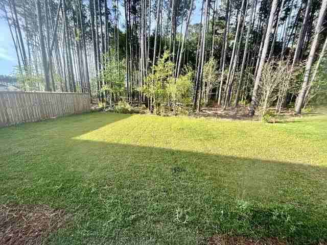 606 Snow Owl Dr - Photo 6 of 11