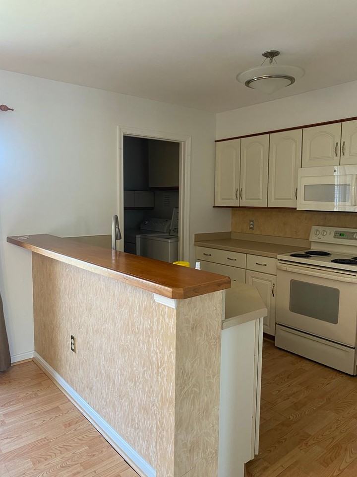 806 Christopher Dr - Photo 7 of 15