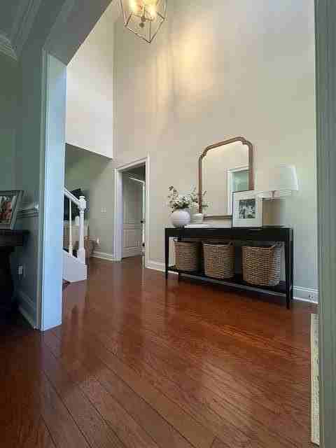 4233 Lost Horse Cir - Photo 2 of 14