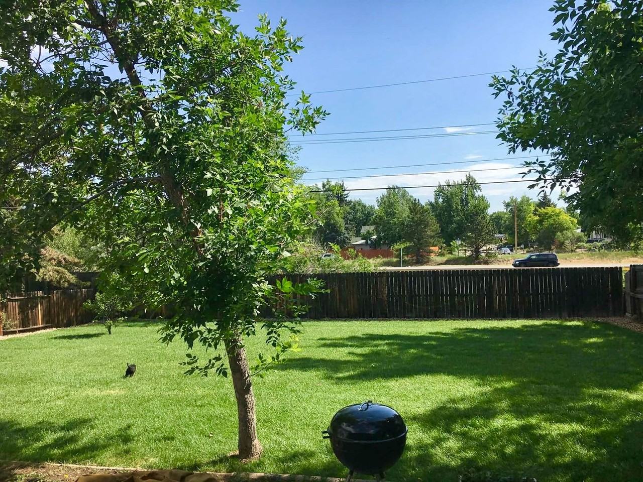 4605 Moorhead Ave - Photo 6 of 6