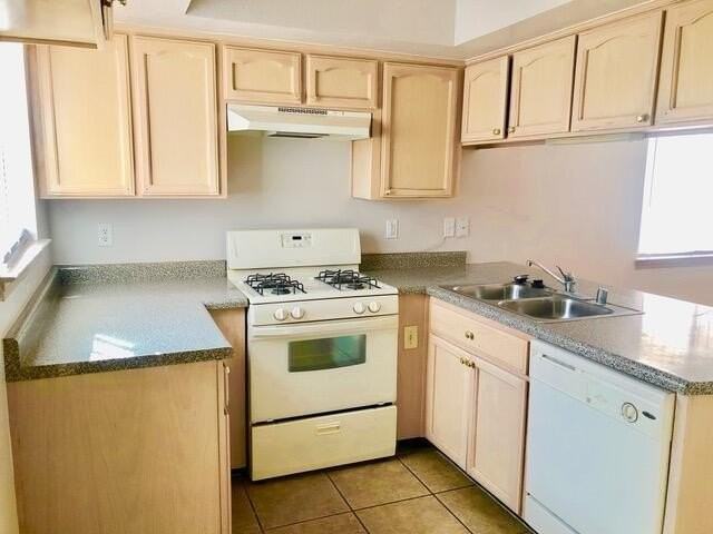 3452 Scarlet Point Dr - Photo 5 of 17