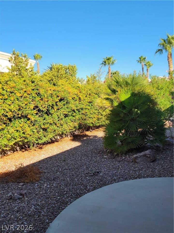 4343 Carta Luna St - Photo 7 of 23