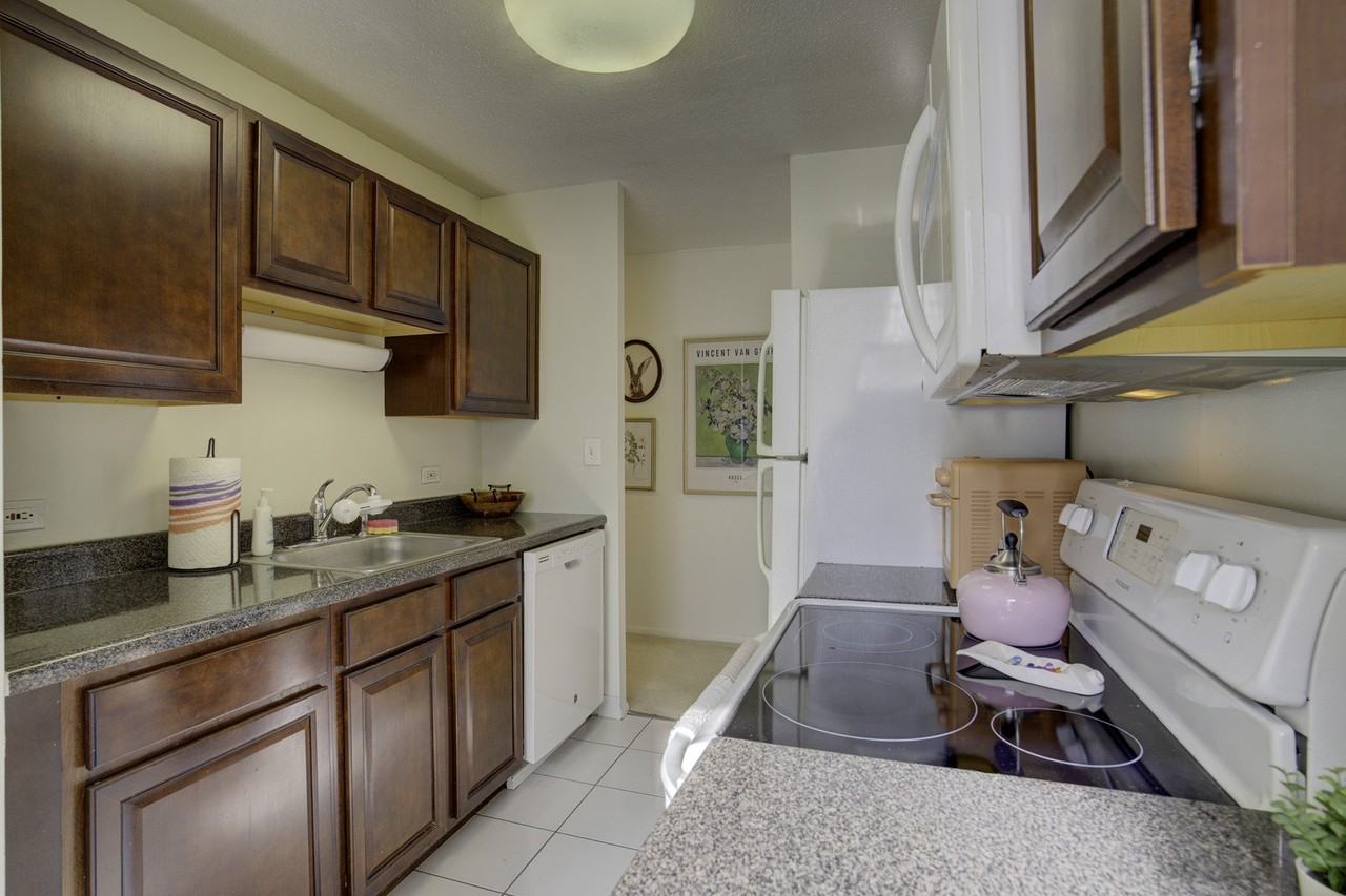 65 E Scott St Apt 11n - Photo 4 of 12