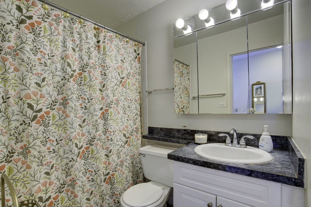 65 E Scott St Apt 11n - Photo 7 of 12