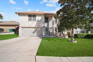 featured image of 11016 Forest Shower