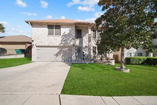 11016 Forest Shower - Photo 1 of 1