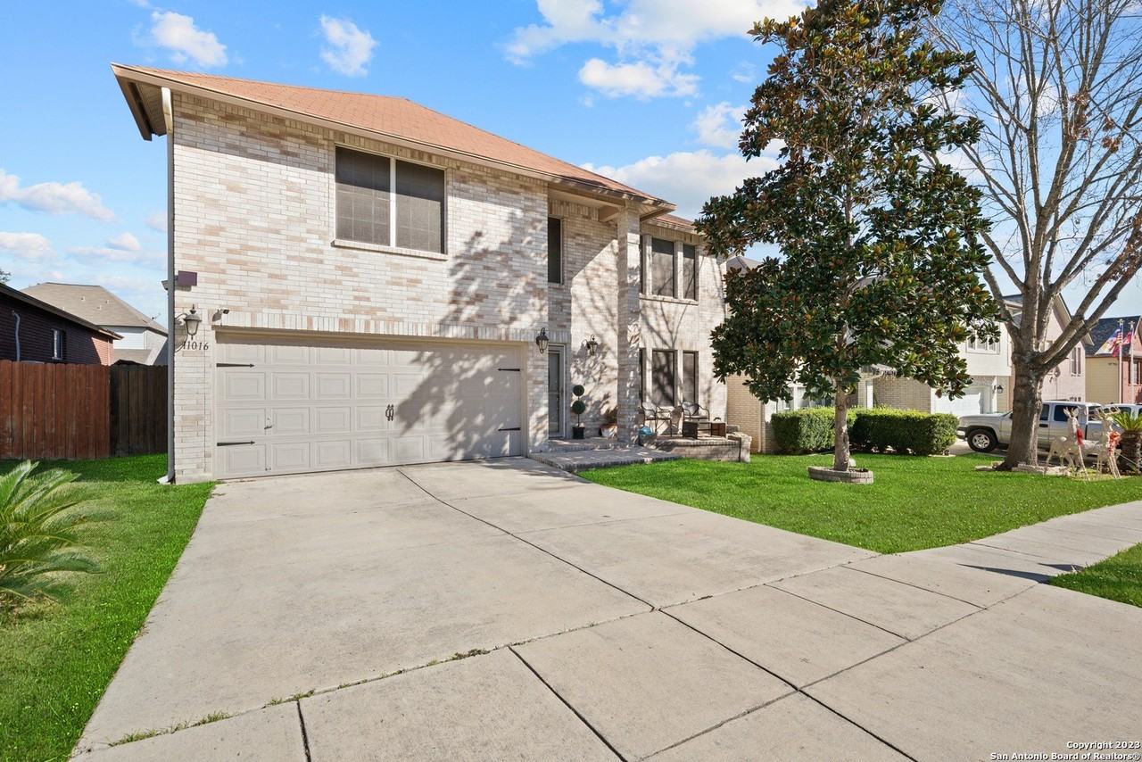 11016 Forest Shower - Photo 3 of 40