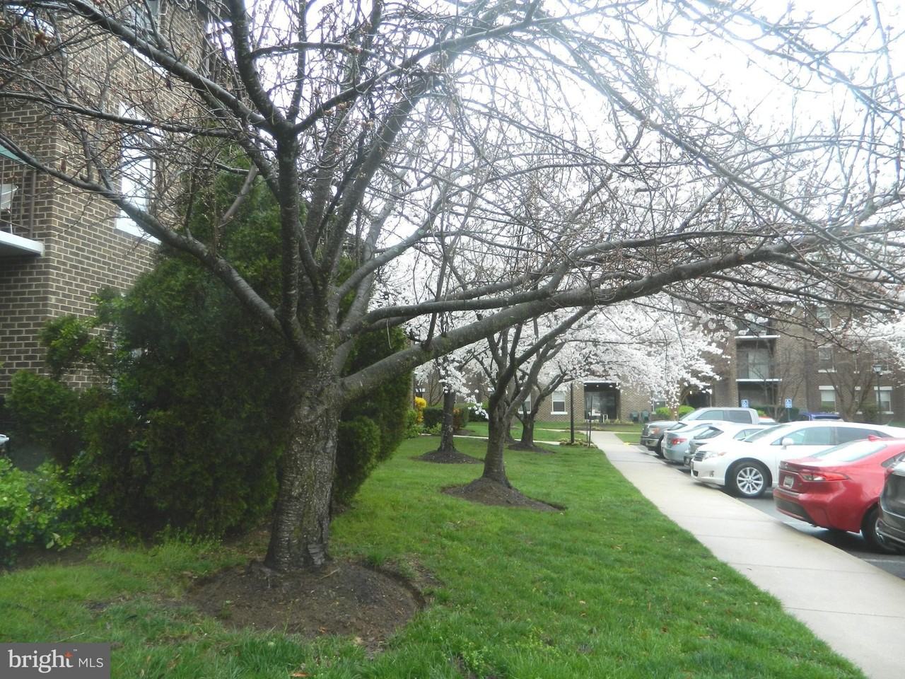 7925 Coriander Dr Unit 12 - Photo 2 of 48