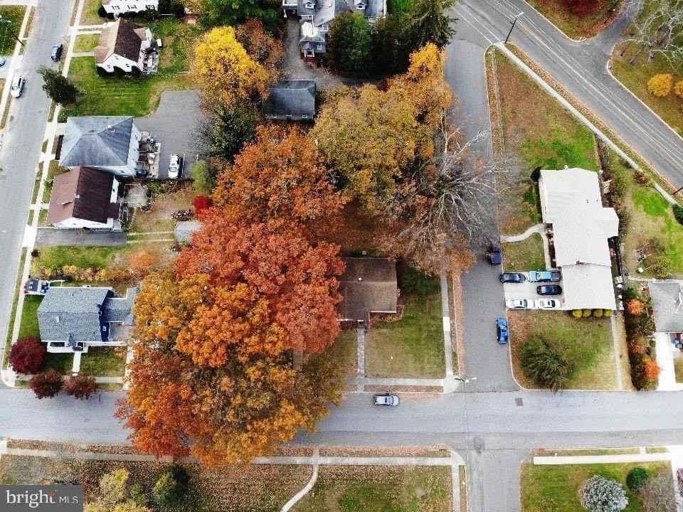 202 Holly St - Photo 4 of 14