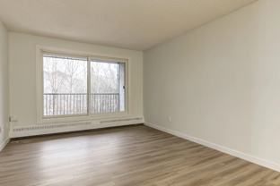 Cameron County - Photo 1 of 1