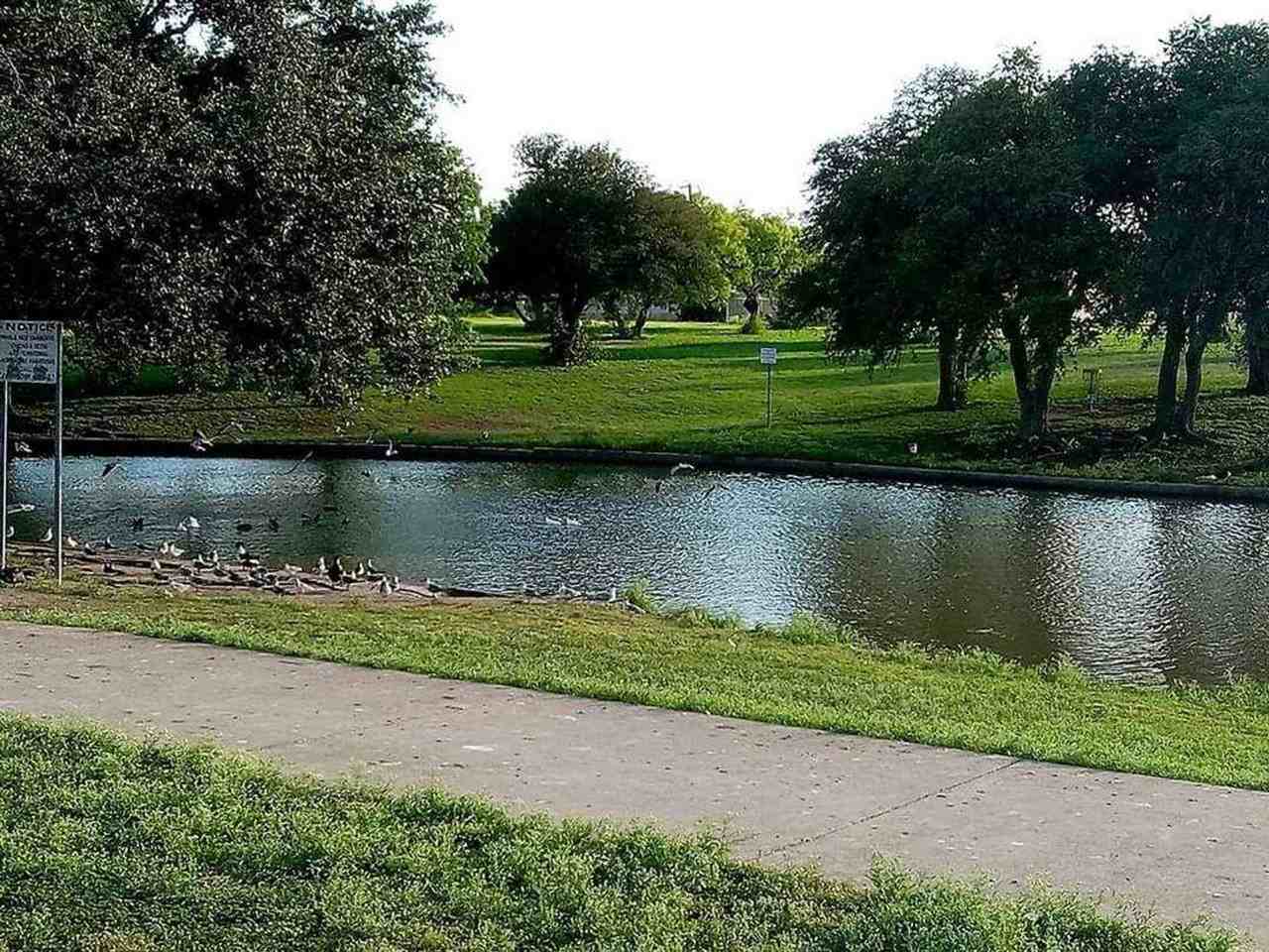 Westwood - Photo 3 of 41