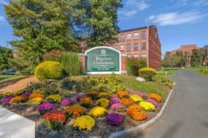 featured image of 55 Main St