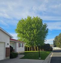 Wilson Duplexes - Photo 1 of 1