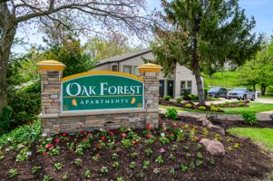 featured image of 10900 Oak Forest Parkway Dr