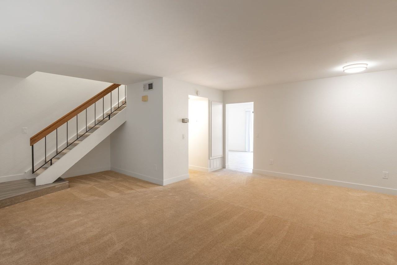 3114 Via Merde - Photo 4 of 50