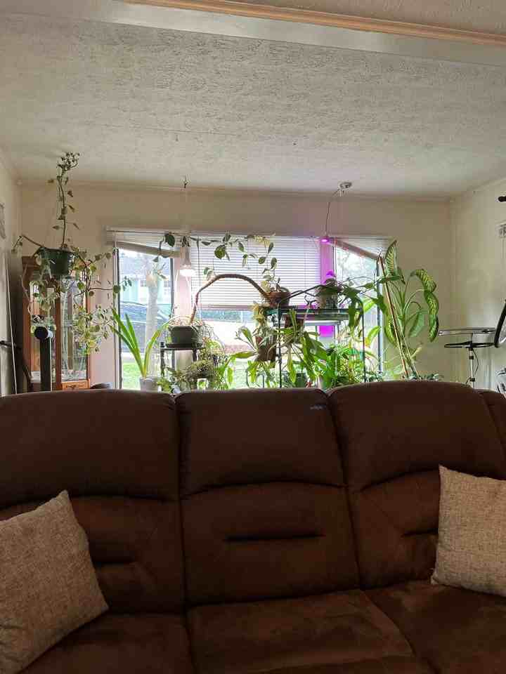 138 Habersham Dr - Photo 7 of 18