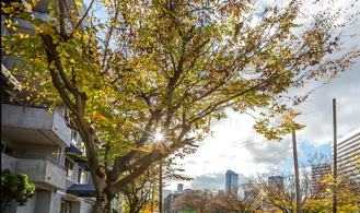 1718 Melrose Ave #212 - Photo 1 of 1