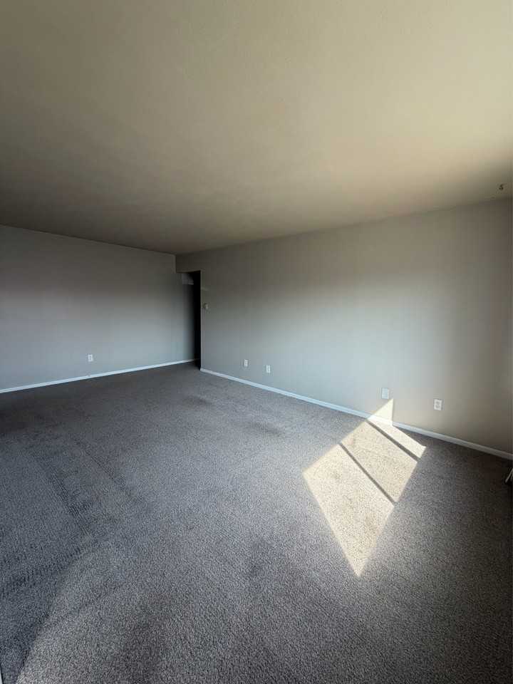 1017 Legrand Drive - Photo 4 of 12