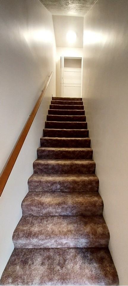 505 Maple St #505 - Photo 5 of 10