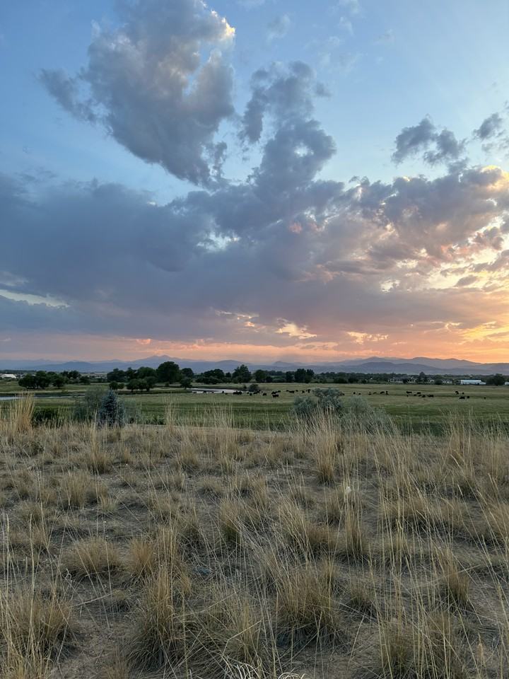 64740 Bill Martin Rd #NA - Photo 4 of 33