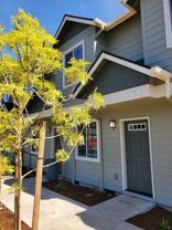 Cherry - Photo 1 of 1