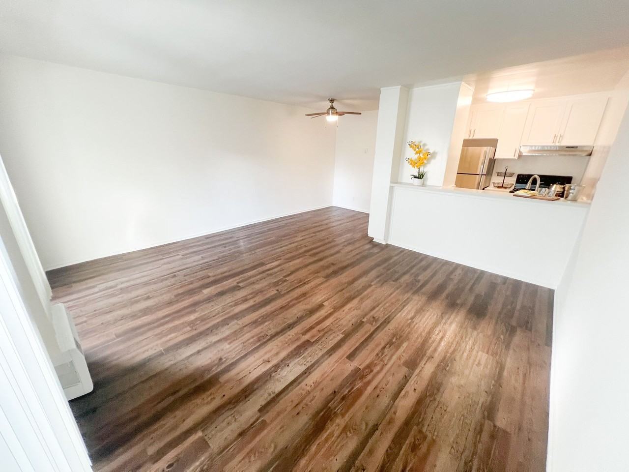 Encino Voltaire - Photo 2 of 26