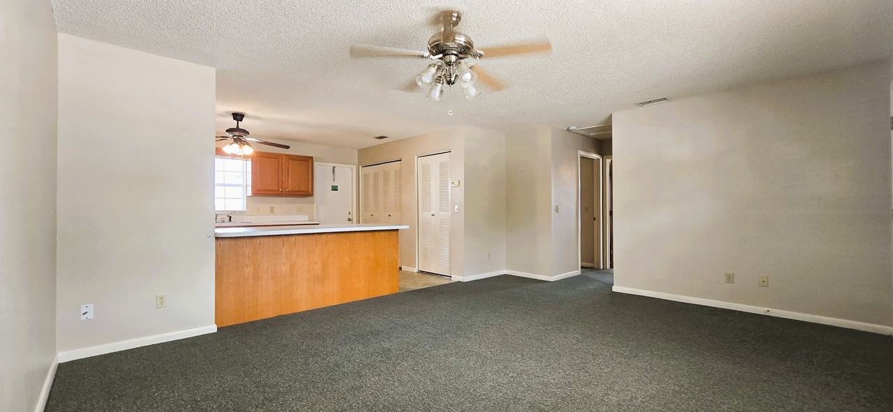 1431 Thousand Roses Dr S #1 - Photo 3 of 10