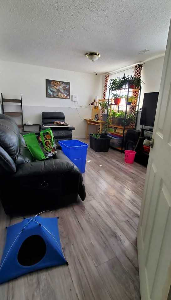 4338 Hill Ave Lowr - Photo 3 of 5