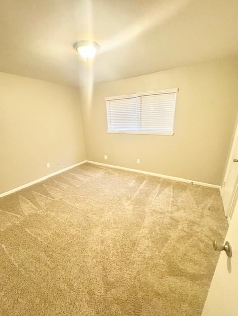 3299B Warringwood Dr #3299B - Photo 5 of 14